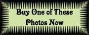 Buy Nude Photography
