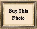 Purchase Michael's Photos